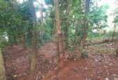 Land For Sale In Kandy City