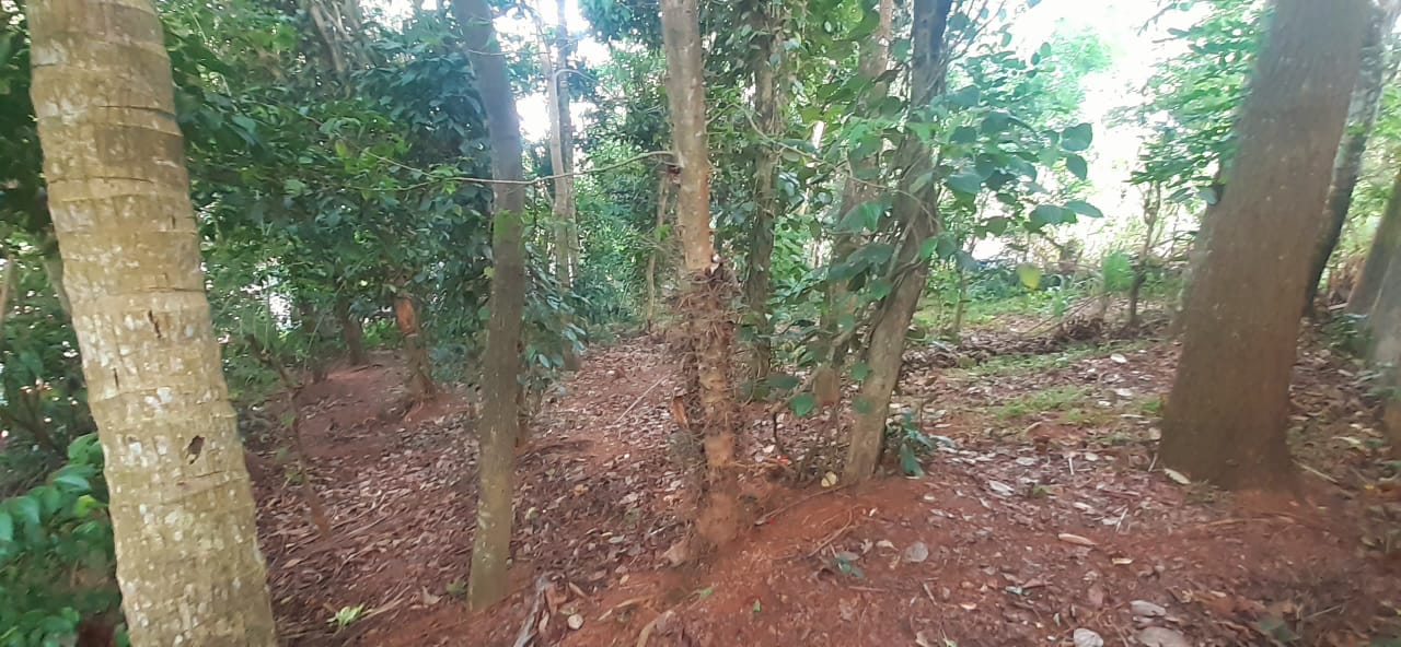 Land For Sale In Kandy City
