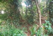 Land For Sale In Kandy City