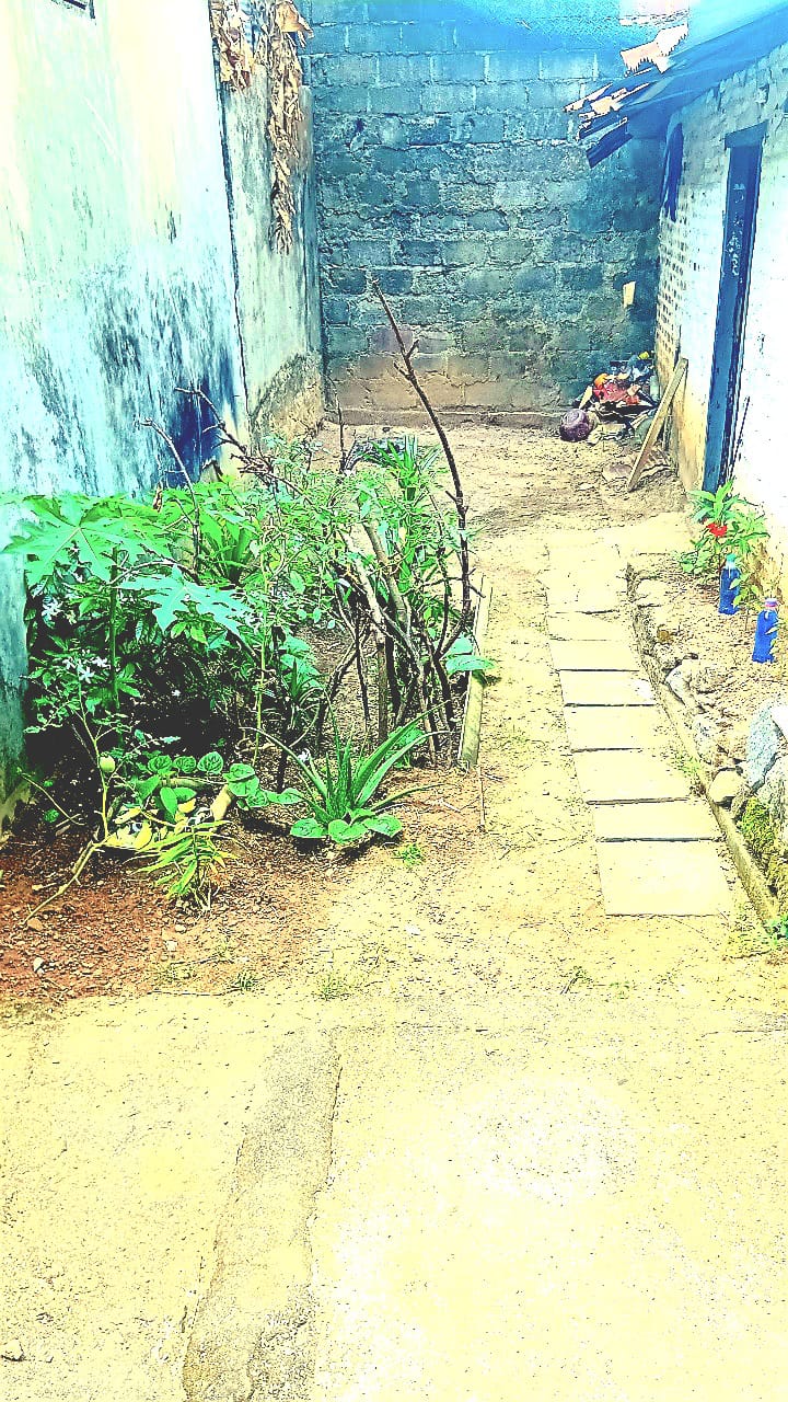 නිවසක් විකිණීමට – වත්තල