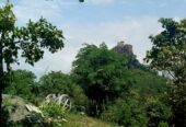 6.2 Acres Rubber Land for Sale – Mawanella (Near Uthuwankanda)