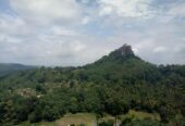 6.2 Acres Rubber Land for Sale – Mawanella (Near Uthuwankanda)