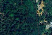 6.2 Acres Rubber Land for Sale – Mawanella (Near Uthuwankanda)