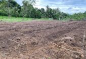 Land For Sale In Matara