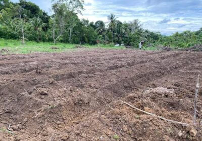 Land For Sale In Matara