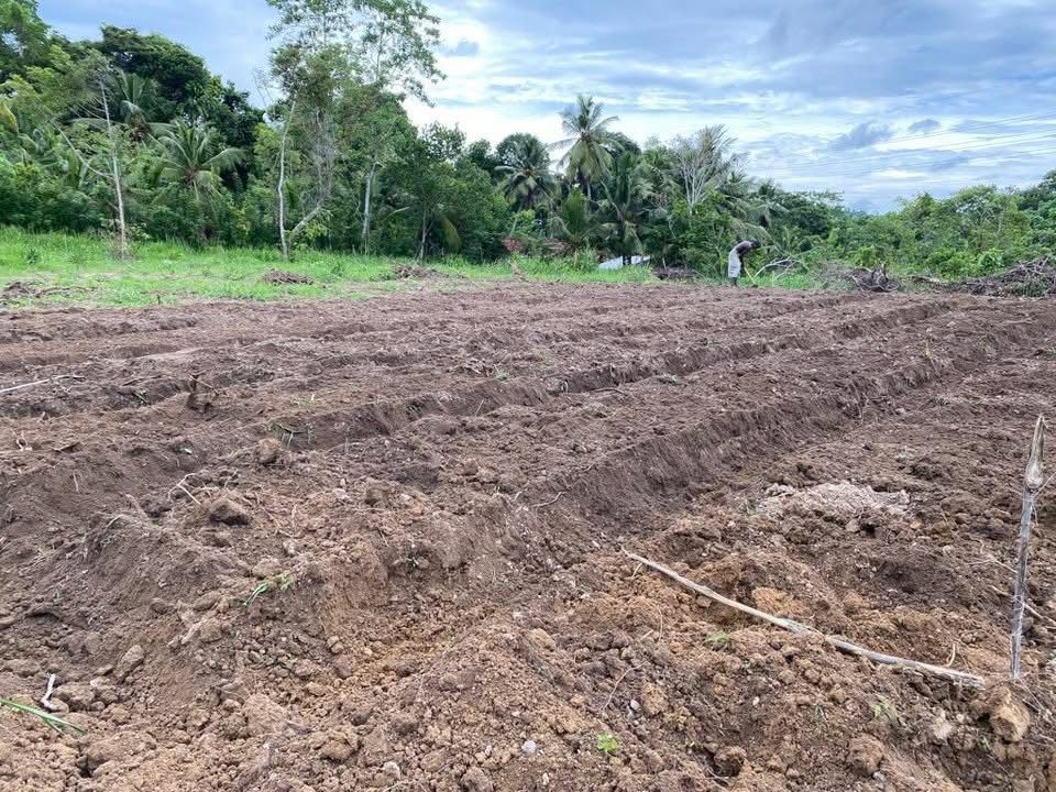 Land For Sale In Matara