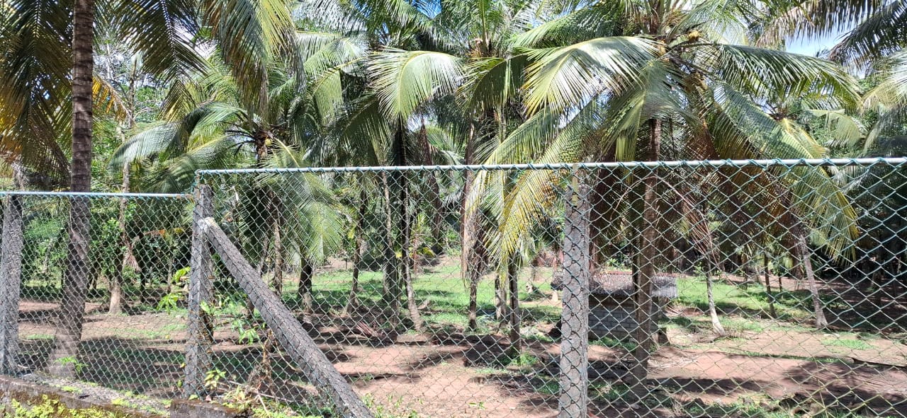 Coconut Land for Sale Thibbatugoda