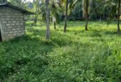 Coconut Land for Sale Thibbatugoda