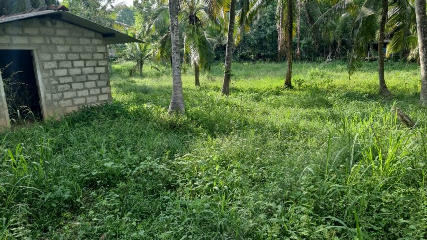 Coconut Land for Sale Thibbatugoda