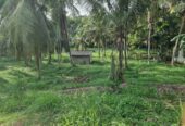 Coconut Land for Sale Thibbatugoda