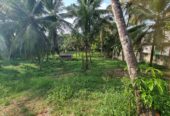 Coconut Land for Sale Thibbatugoda
