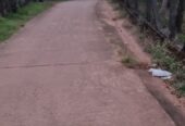 Coconut Land for Sale Thibbatugoda