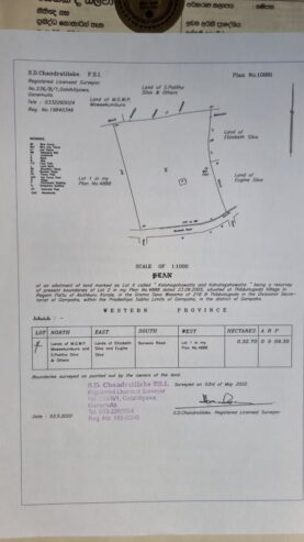 Coconut Land for Sale Thibbatugoda