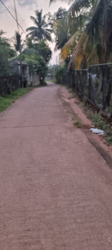 Coconut Land for Sale Thibbatugoda