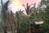 Land with House for Sale in Buttala