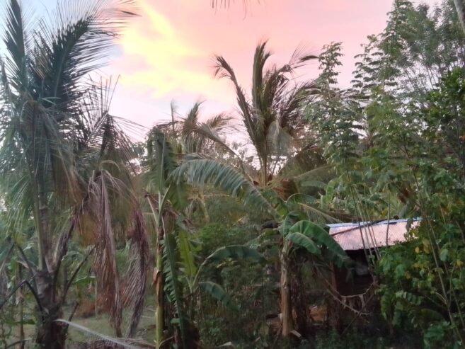 Land with House for Sale in Buttala
