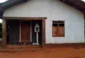 Land with House for Sale in Buttala