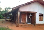 Land with House for Sale in Buttala