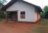 Land with House for Sale in Buttala