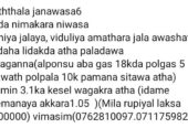 Land with House for Sale in Buttala