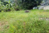 10.3 Perch – Land for Sale – Nimsara Uyana, Koralaima