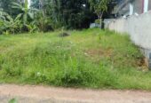 10.3 Perch – Land for Sale – Nimsara Uyana, Koralaima