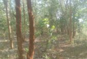 Land for Sale Suriyawawa