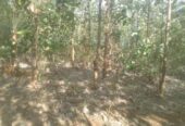 Land for Sale Suriyawawa