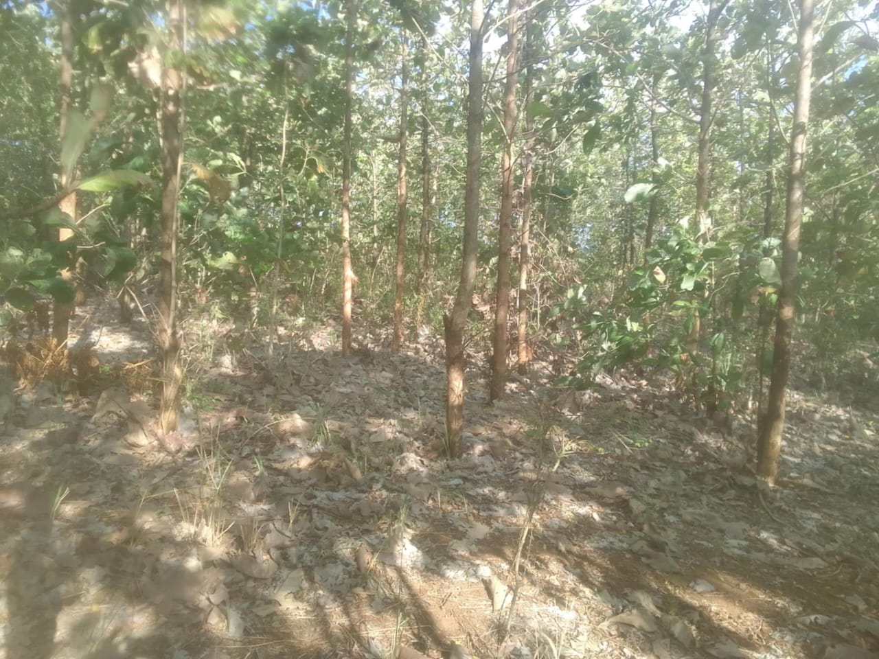 Land for Sale Suriyawawa