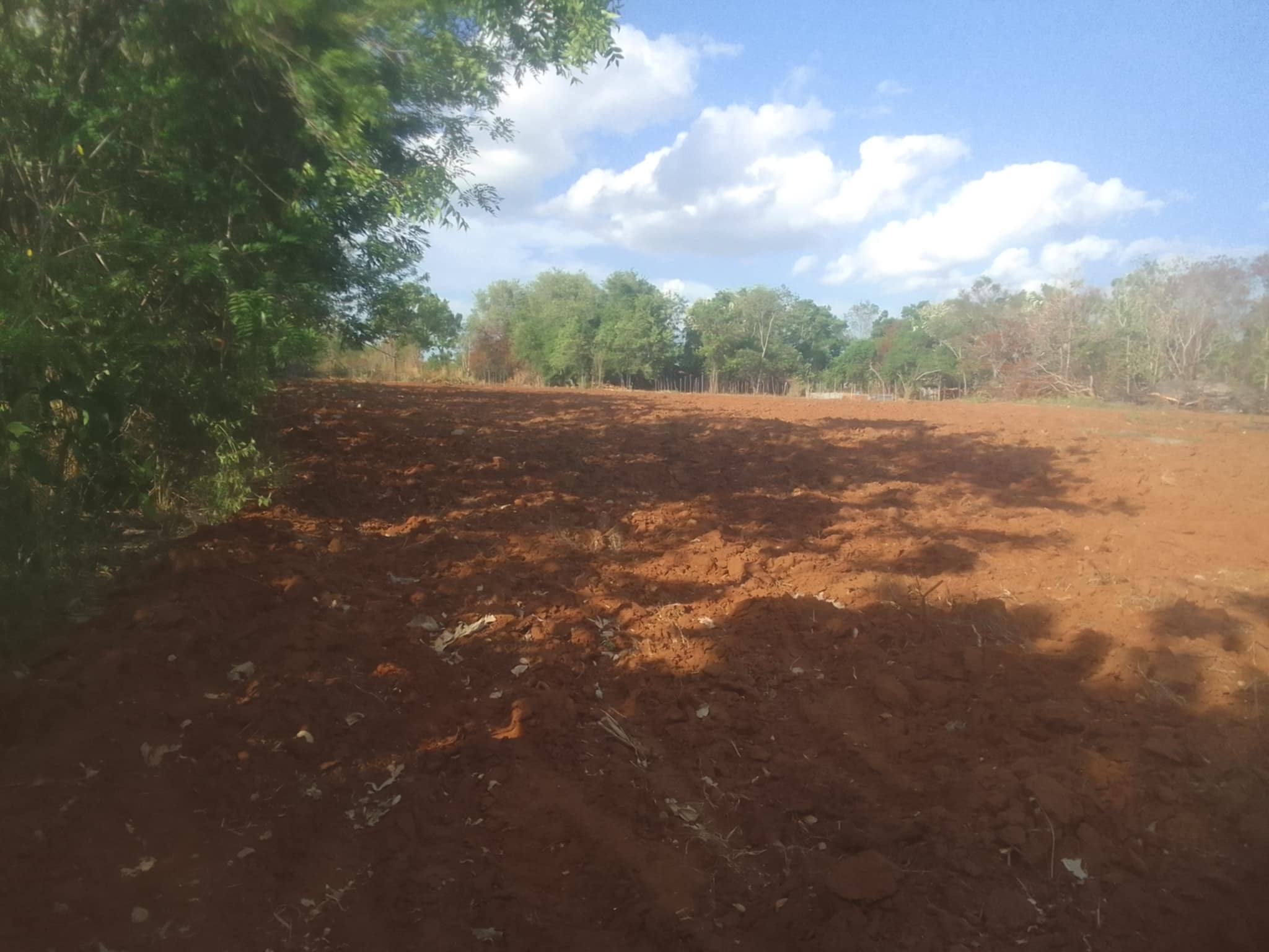 Land for Sale Suriyawawa