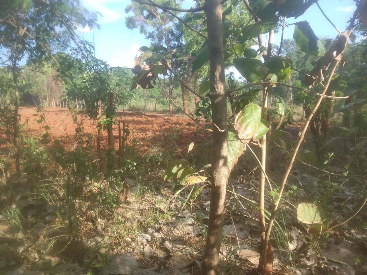 Land for Sale Suriyawawa