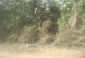 Land for Sale Suriyawawa
