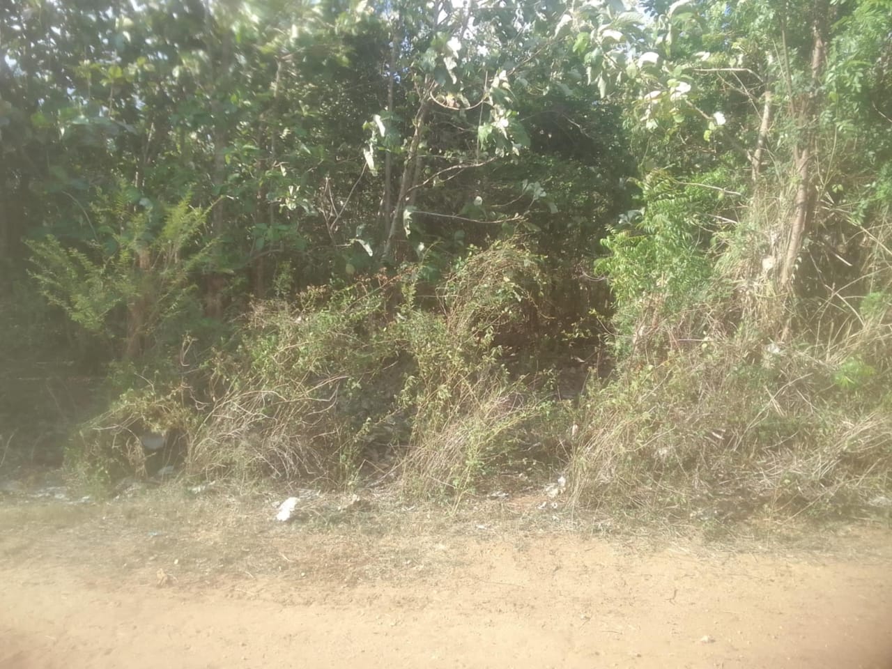 Land for Sale Suriyawawa