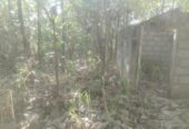 Land for Sale Suriyawawa