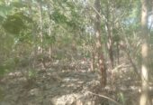 Land for Sale Suriyawawa
