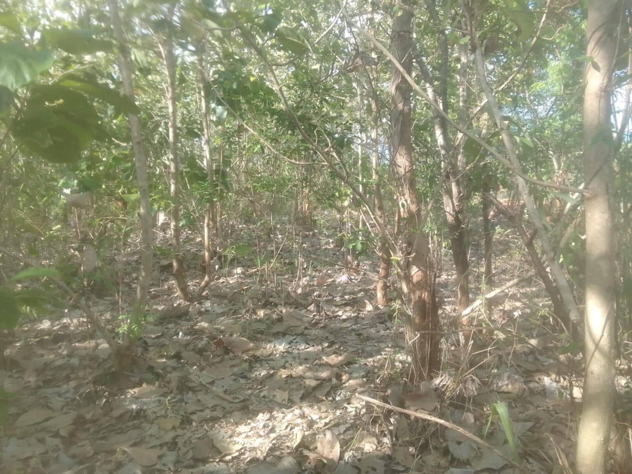 Land for Sale Suriyawawa