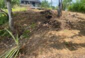 Land for Sale Thelijjavila