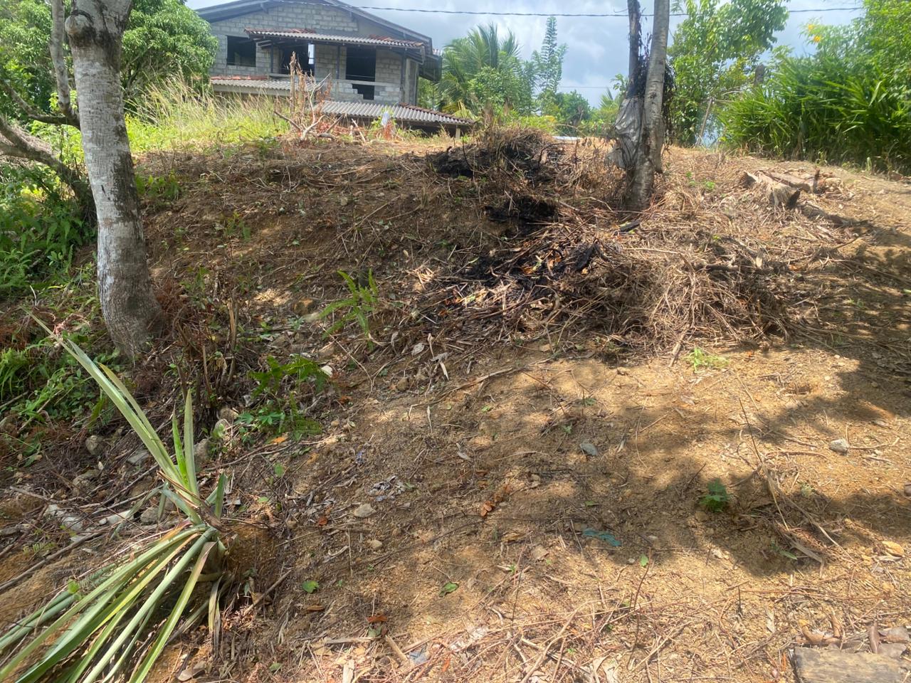 Land for Sale Thelijjavila