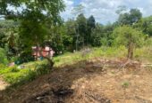 Land for Sale Thelijjavila