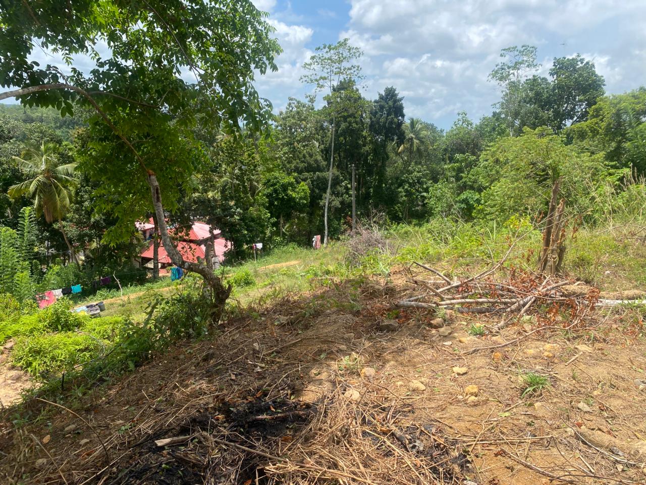 Land for Sale Thelijjavila