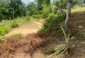 Land for Sale Thelijjavila