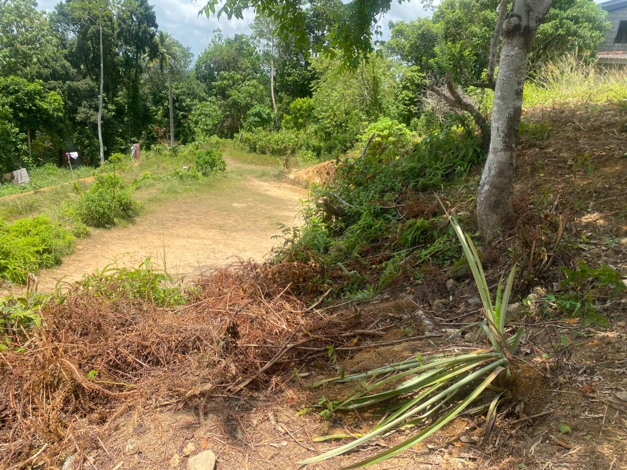 Land for Sale Thelijjavila