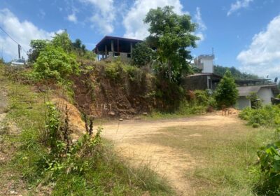 Land for Sale Thelijjavila
