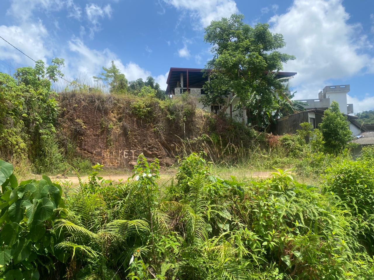 Land for Sale Thelijjavila