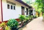 🏠House for Sale in Wattala – Appugewatta