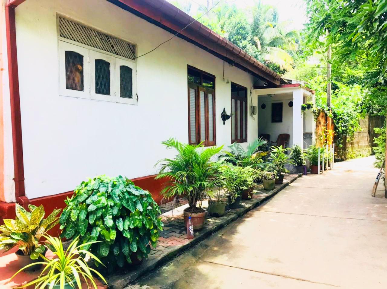 🏠House for Sale in Wattala – Appugewatta
