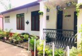 🏠House for Sale in Wattala – Appugewatta