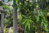 House for Sale in Polgasowita