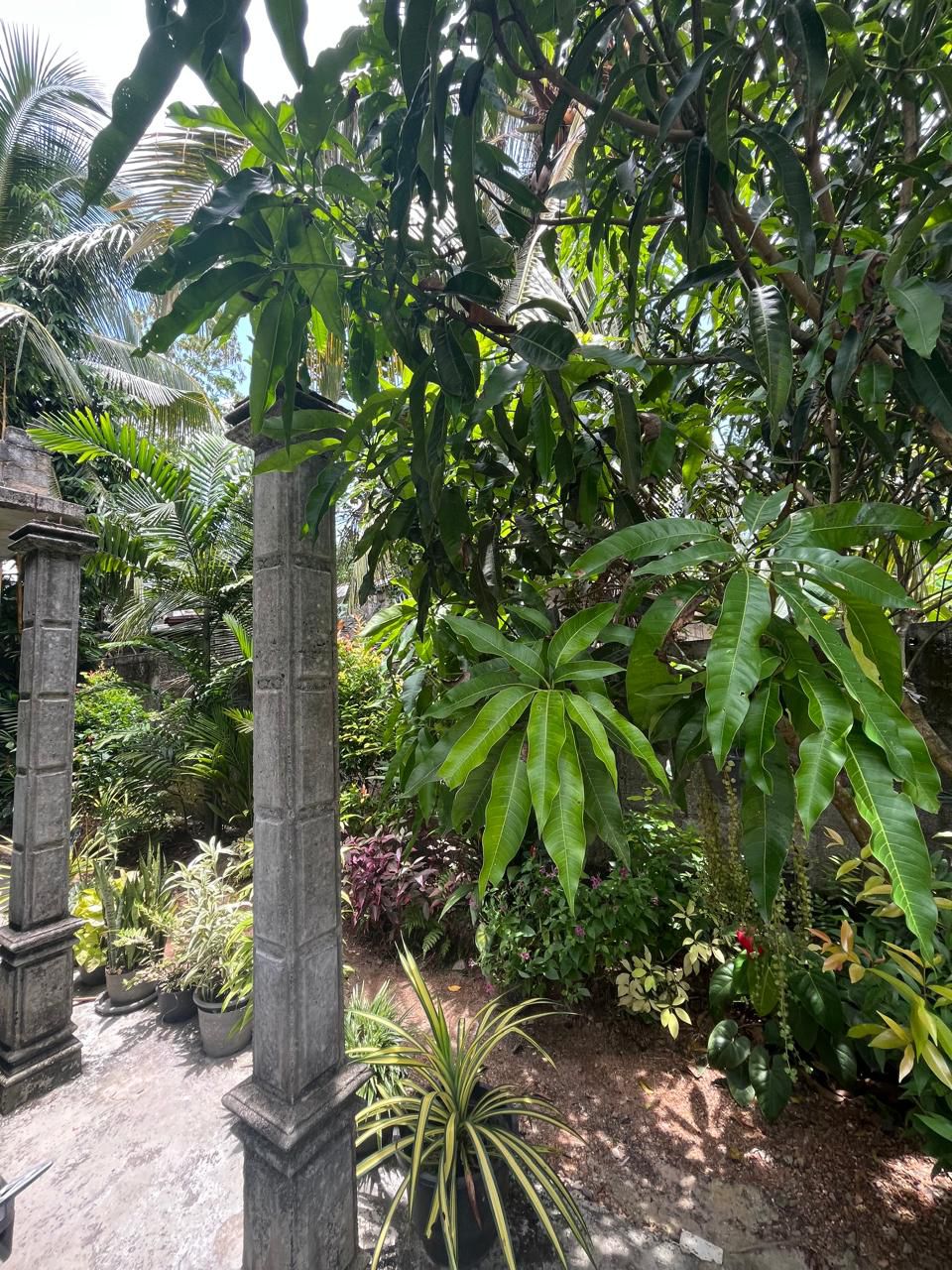 House for Sale in Polgasowita