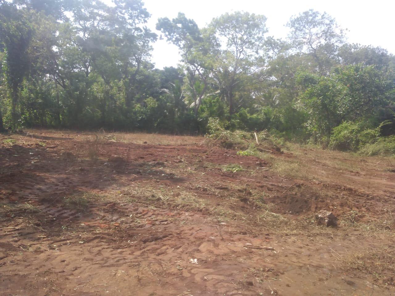 කතරගම දේවාසි හෝටලය ඉදිරිපිට ඉඩමක් විකිනීමට